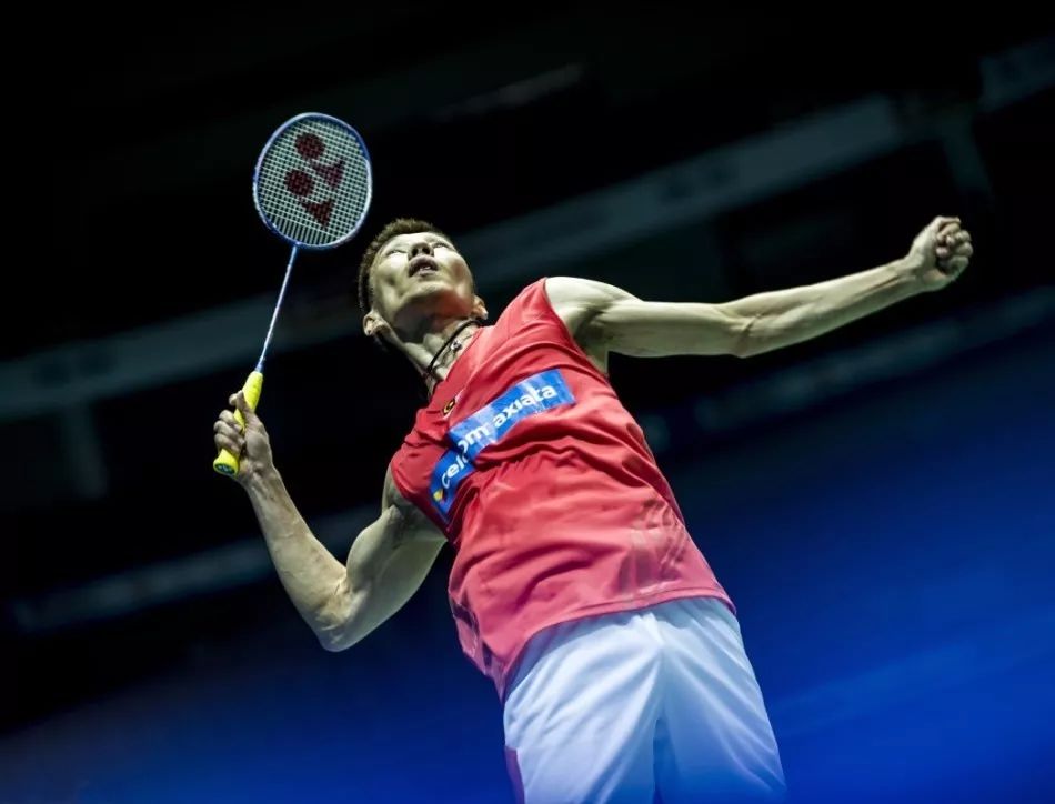 物的追索树 物的追索树