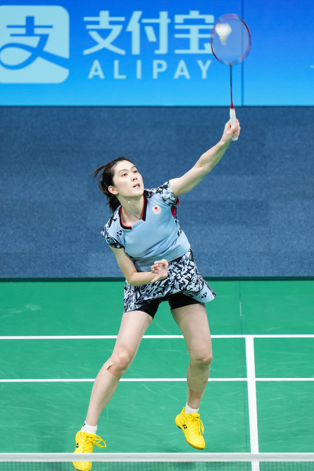 著的变化 著的变化