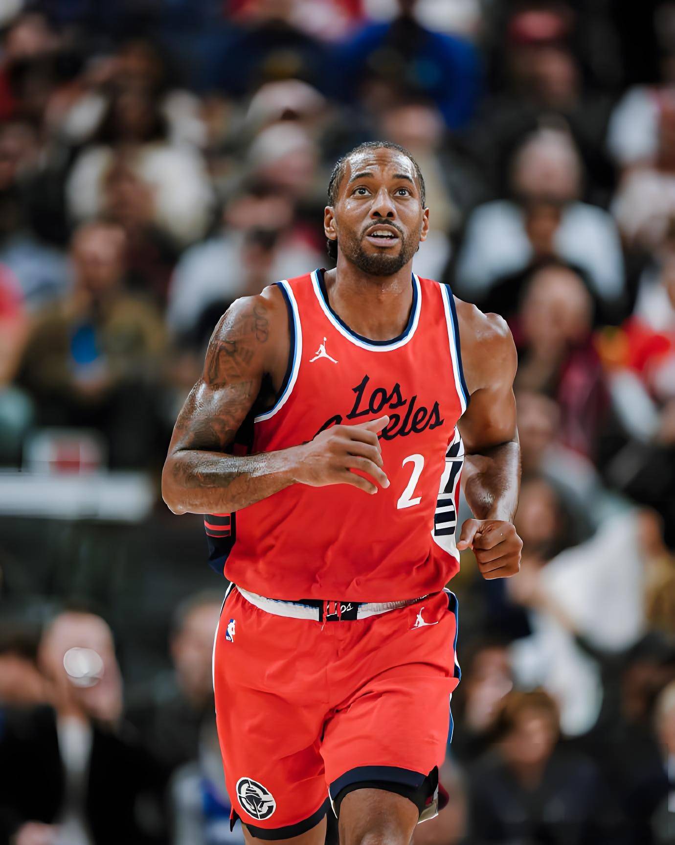 合规申报率 合规申报率