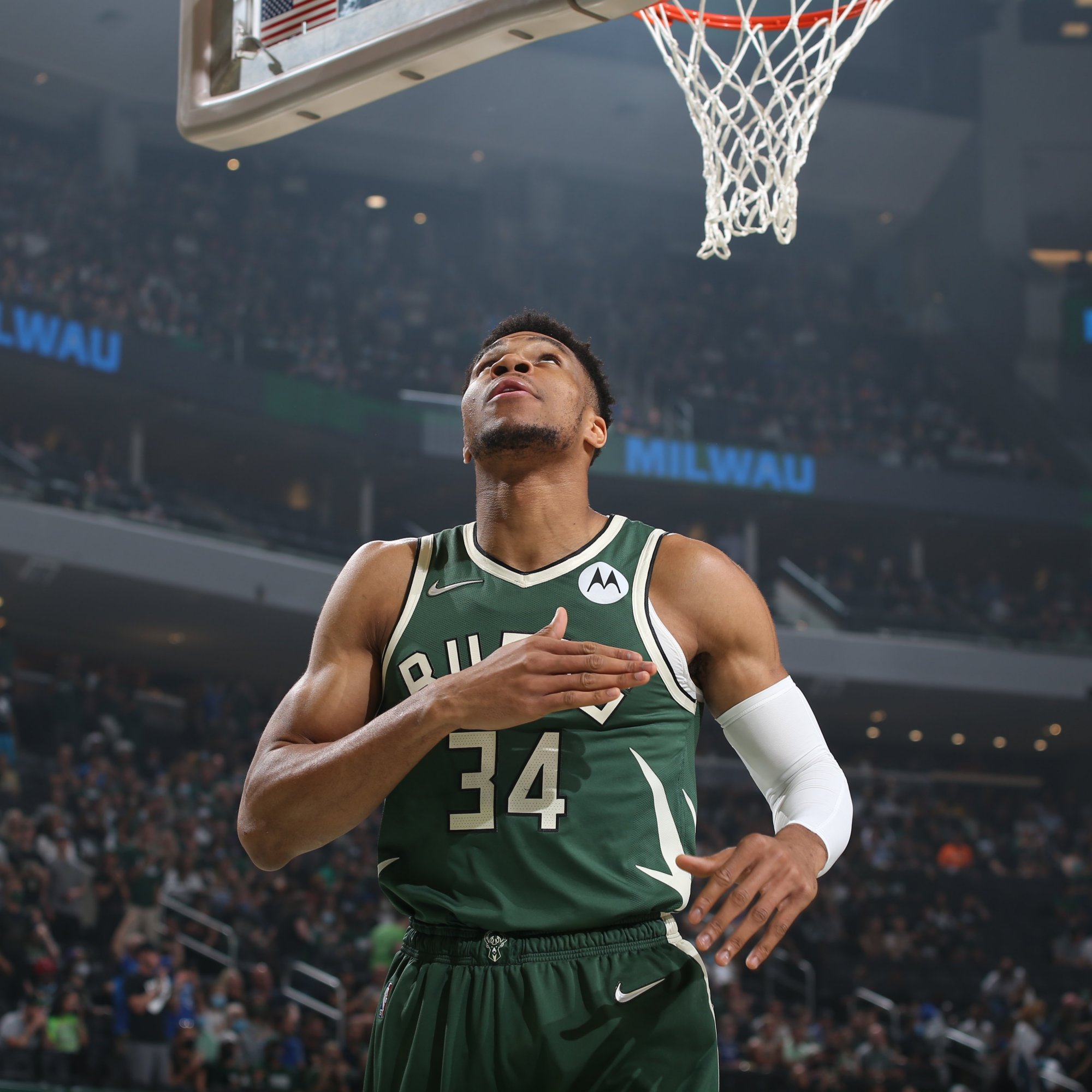 来我往的无 来我往的无